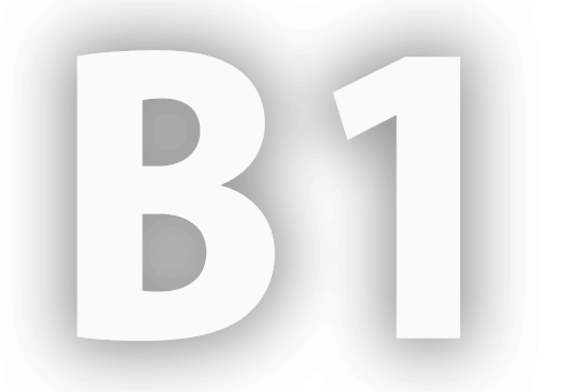 B1