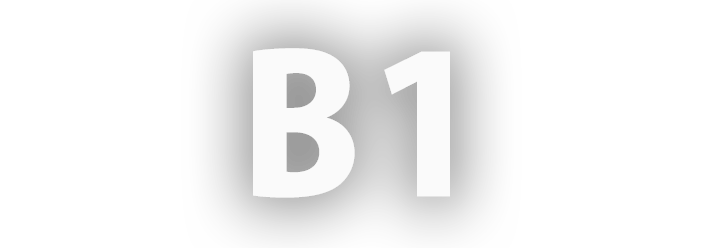 b1